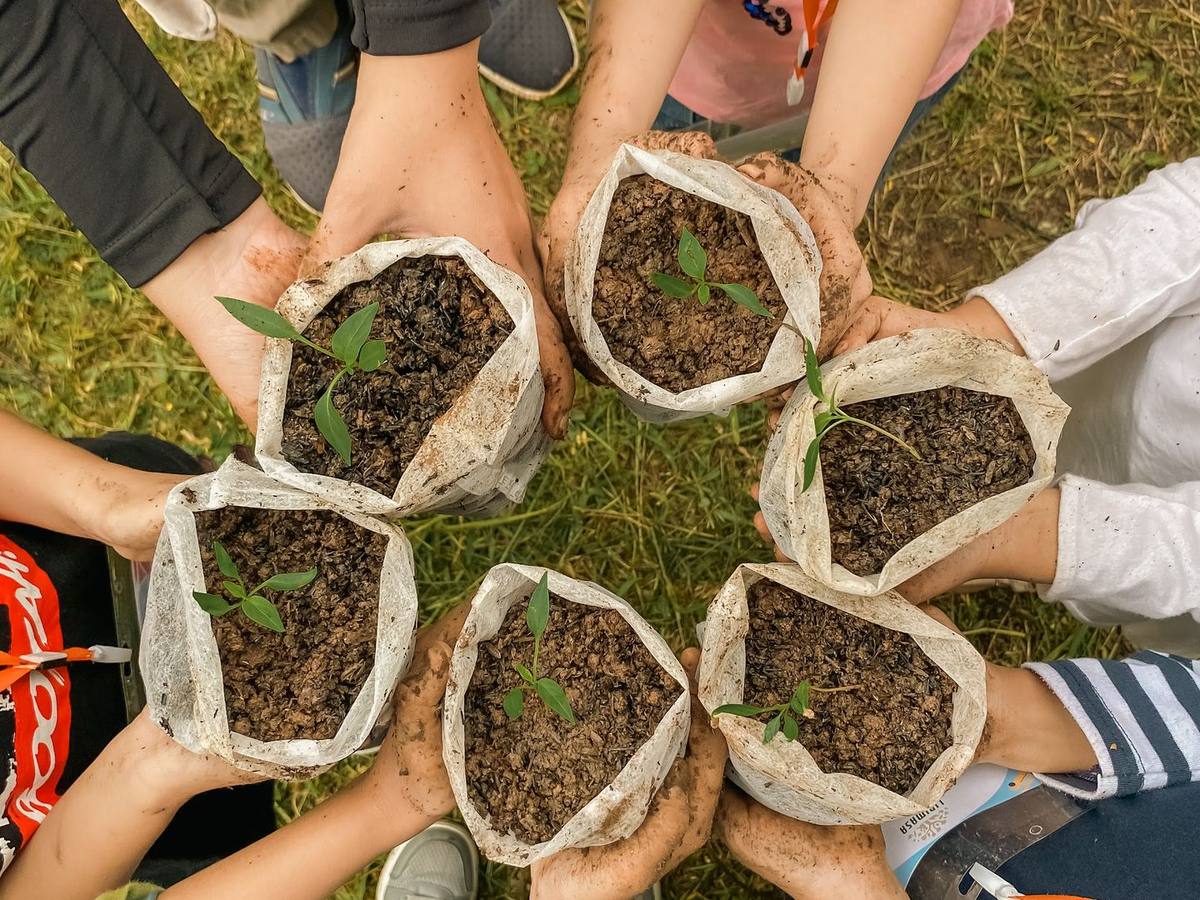 Bibit dalam kantong tanah, siap ditanam murid SD di kebun Huma Talun.