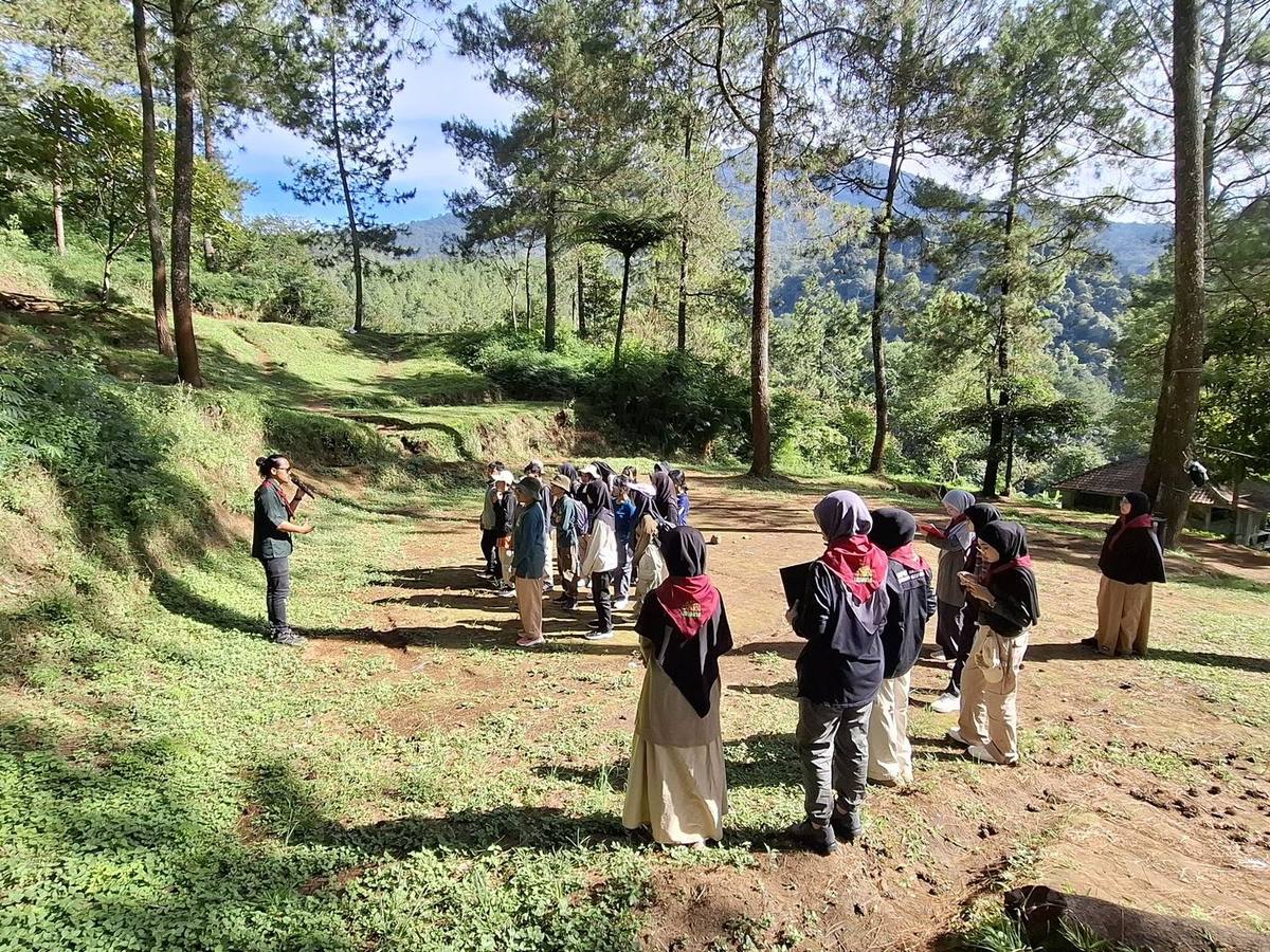 Belajar di luar kelas: berjalan bersama di kawasan hutan pinus.